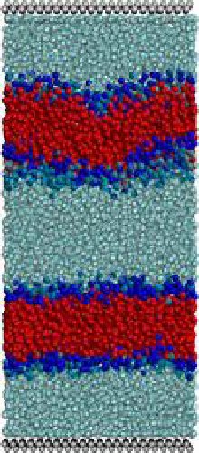 /images/bilayer1.jpg