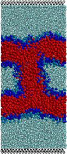 /images/bilayer2.jpg