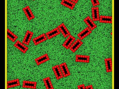 Rigid box particles for diffusion and viscosity