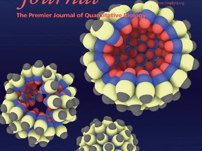 Motion on manifold (2d) surface