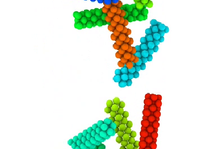 Bonded particle models