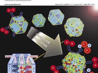 Electro-catalytically active gold nanoparticles