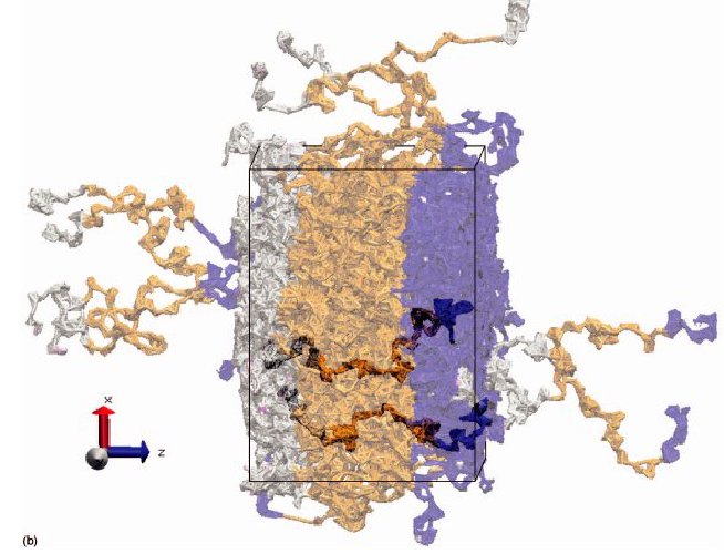 /images/copolymer3.jpg