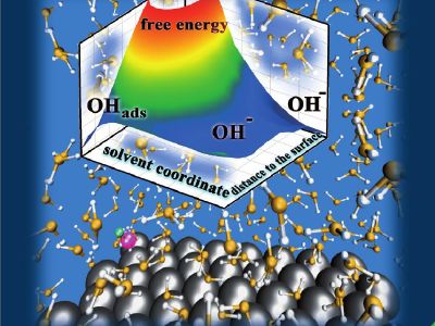Electrochemical adsorption of OH