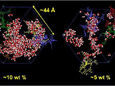 Solvated dendritic polymer structure
