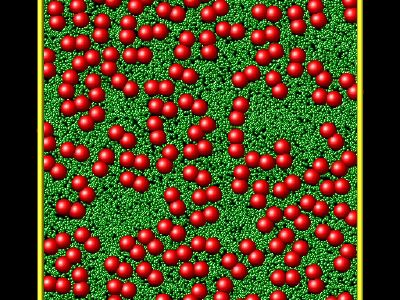 Rigid dimer particles for diffusion and viscosity