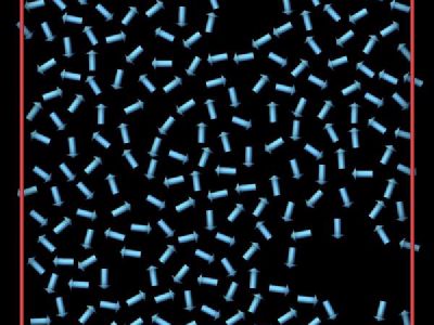 Point dipole particles
