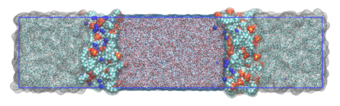 multiphase