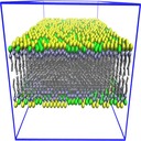 lipid bilayer