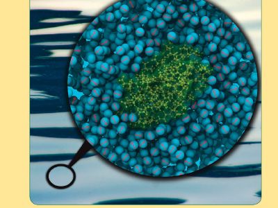 Mixing of atomistic solutes and coarse-grained water