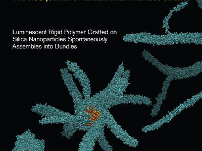Rigid polymer nanoparticle coatings