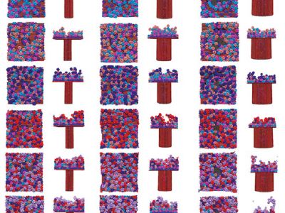 Layer-by-layer self assembly