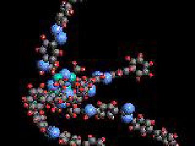 Liquid-crystal conformations