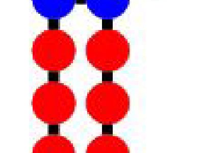Lipid membrane self-assembly and fusion
