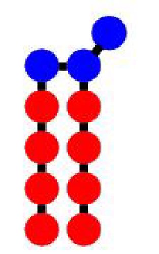 /images/lipid.jpg
