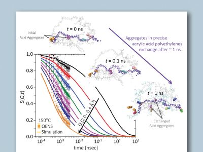 Acid-containing polymer chain dynamics