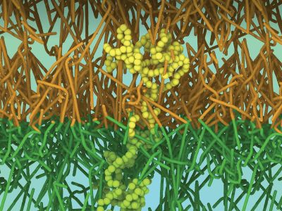 Phase behavior of diblock copolymers