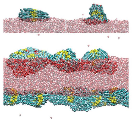 /images/nanoparticle1.jpg