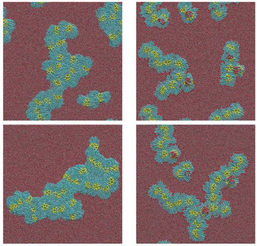 /images/nanoparticle2.jpg