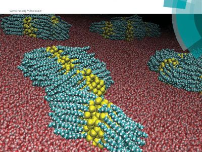 Nanoparticle assembly and aggregation