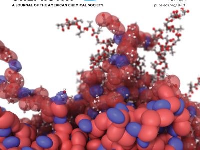 PLGA Polymers with Coarse-Grained MD