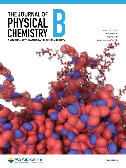 PLGA Polymers with Coarse-Grained MD