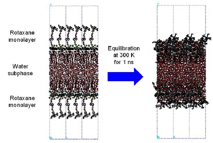 /images/rotaxane.jpg