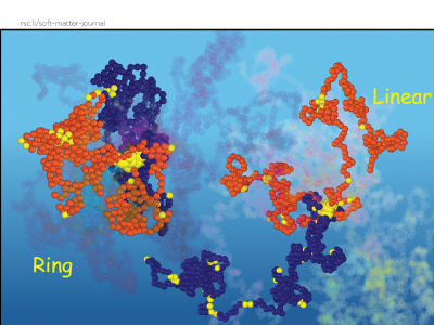 Topology effects on associative polymers
