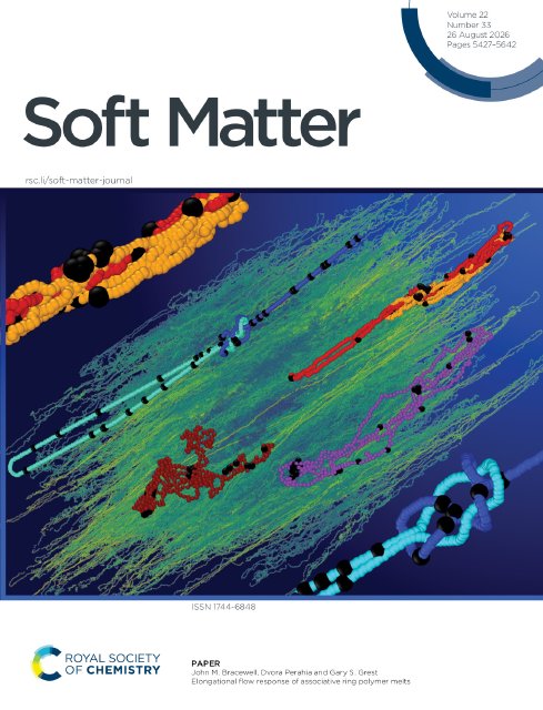 Flow response of ring polymer melts