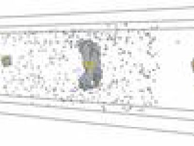 Nanoprecipitates and shock induced plasticity