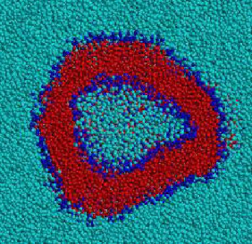 /images/vesicle1.jpg
