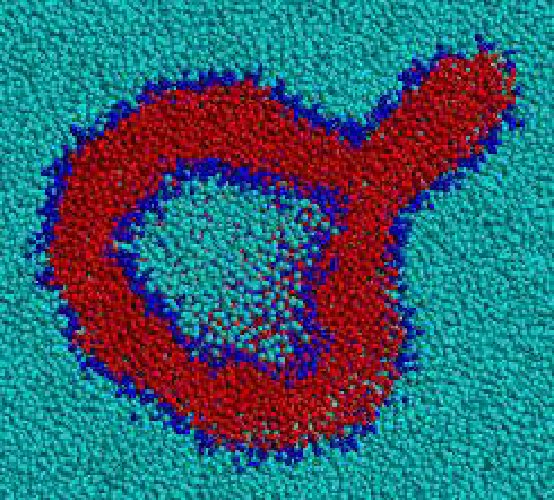 /images/vesicle2.jpg